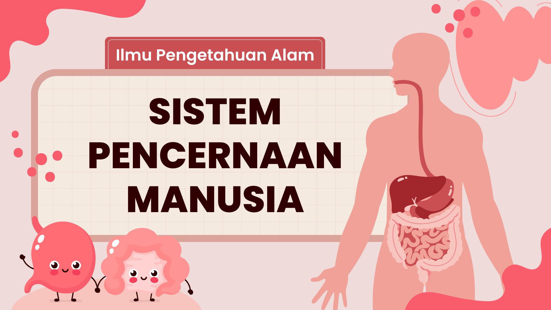 Presentasi Materi-Sistem Pencernaan Manusia Merah Muda Lucu dan Simpel