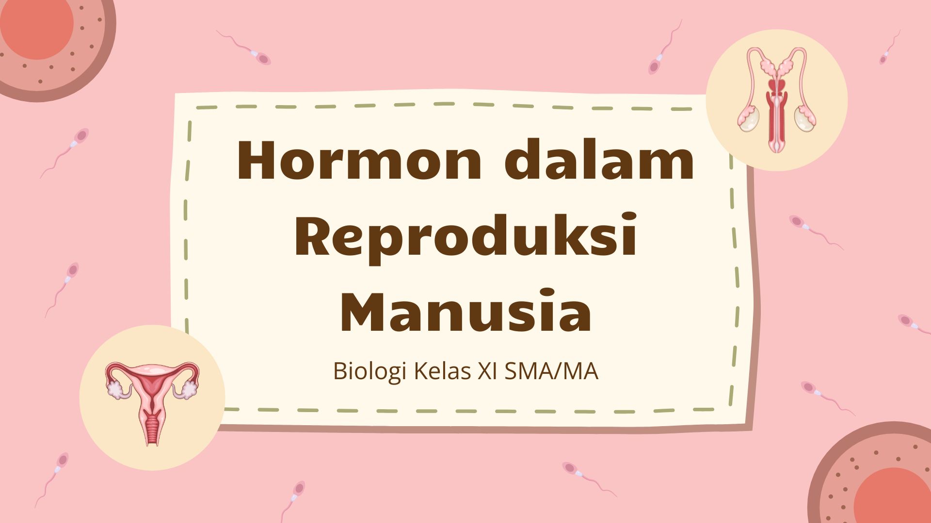 Presentasi Materi-Hormon dalam Reproduksi Manusia Merah Muda Ilustratif